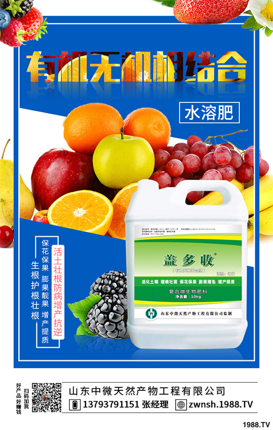 一銨價(jià)格