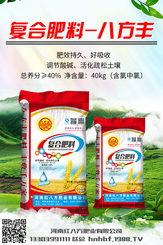  川貝母多少錢一克？川貝母的種植前景及種植技術(shù)！