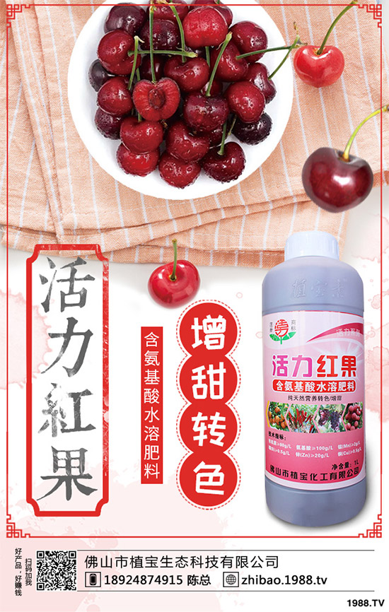     一銨訂單仍顯不佳！最新磷銨價格行情日報