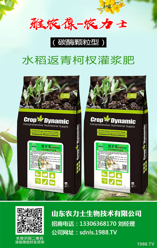 1馬鈴薯該如何切塊種植？馬鈴薯切塊種植技術(shù)及注意事項