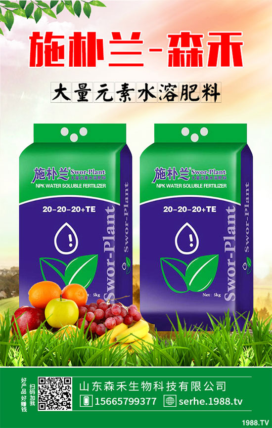 馬鈴薯價(jià)格不斷升高，能否繼續(xù)堅(jiān)挺？2020年馬鈴薯種植前景分析