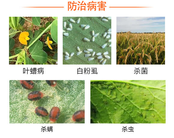 ��ǑҸ�Һ�w���Ʒ-��(zh��n)�ۡ���-��(qi��ng)�r(n��ng)����_03