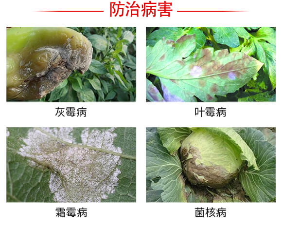 ���w˪�^-��(qi��ng)�r(n��ng)����_03