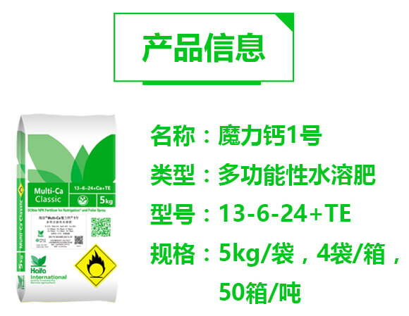 �๦����ˮ�ܷ�13-6-24+TE-ħ���}1̖-�������Q_02