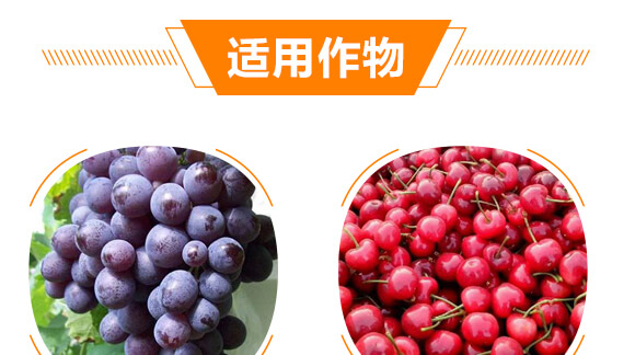 �ݸ�좮������}-�x��-��ʯ����_07