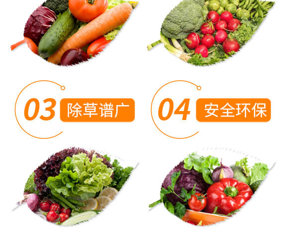 �ݸ�좮������}-�x��-��ʯ����_05