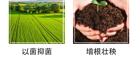 �S���������ЙC����-С����-�r(n��ng)��һ_07