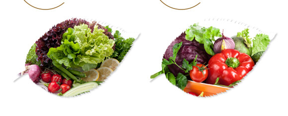 ��ˎ�ĠI�B(y��ng)���a-����ֲ��ˮ�ܷ�-�����r��_07