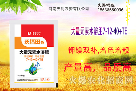 ��피t��ô�B(y��ng)����피t���B(y��ng)ֳ������ע�����(xi��ng)��