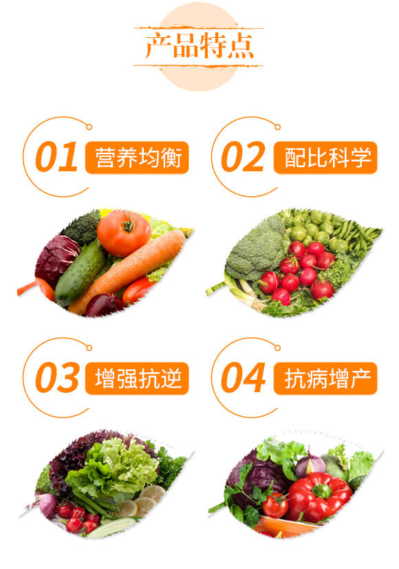 �����{(di��o)�턩-�}���V-��ؐ��_03