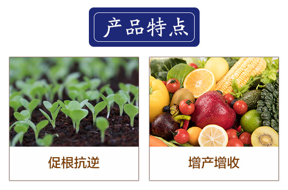 �~����-������-�۱��r(n��ng)_03