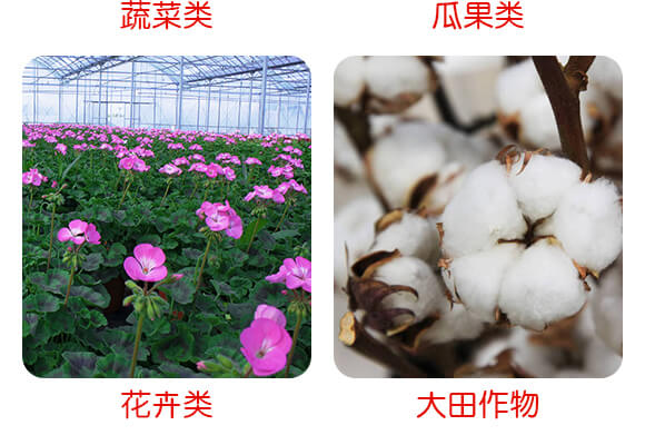 ��������N�������޹�˾�a(ch��n)ƷԔ���3_07