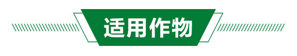��伤��ݔ��Һ1+1-�³�_03