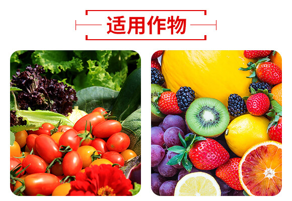 ɽ�|������W(w��ng)(li��n)�䷽�����޹�˾�a(ch��n)ƷԔ���2_05