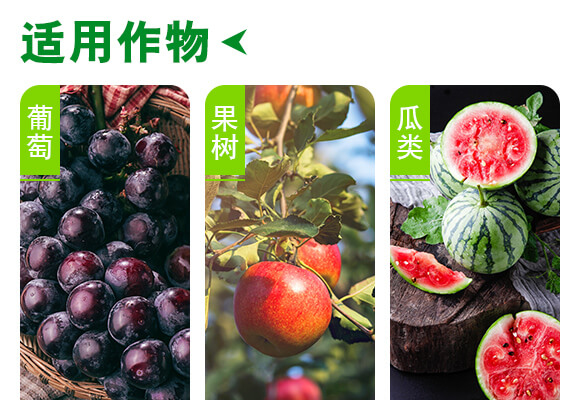 ���u��������Ƽ����޹�˾�a(ch��n)ƷԔ���3_04