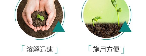 ������͏�(f��)�Ϸ���25-14-6-���_08