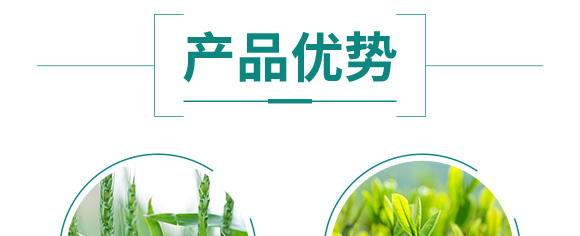 ������͏�(f��)�Ϸ���25-14-6-���_06