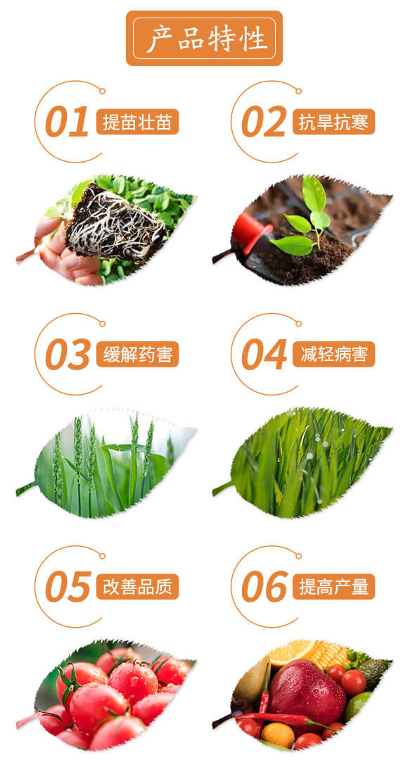 �|̦���L��-���ƷʘI(y��)_03