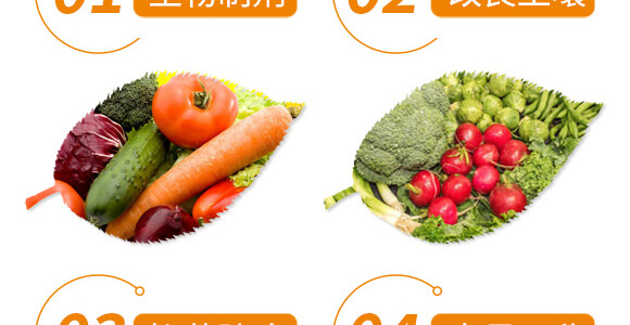 �׷ʽ���(d��ng)��-��ֲ(li��n)��_06