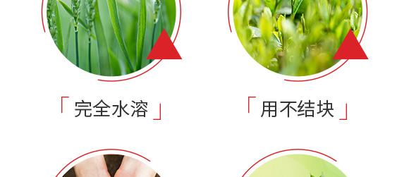 ������͏�(f��)�Ϸ���25-14-6-���_07