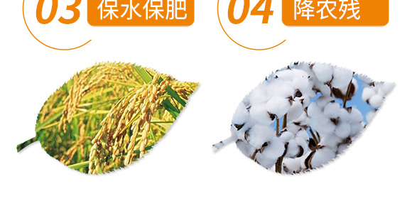 ˮ���޻�������΢�������-������ˎ��-�еº���_07