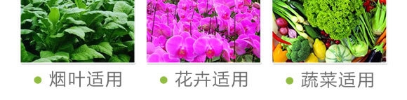 ���ӹ���̿��ø-������-��(gu��)�S���@_09