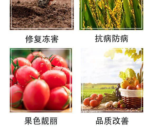 ���ӹ���̿��ø-������-��(gu��)�S���@_05