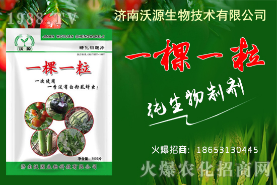     蚜蟲、白粉虱、薊馬怎么防？沃源生物“一棵一?！睔⒊x卵，藥效！
