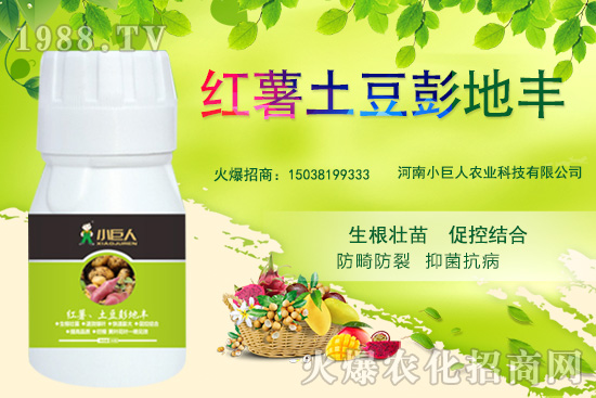 河南小巨人怎么樣？公司有什么優(yōu)勢？主推產(chǎn)品有哪些？