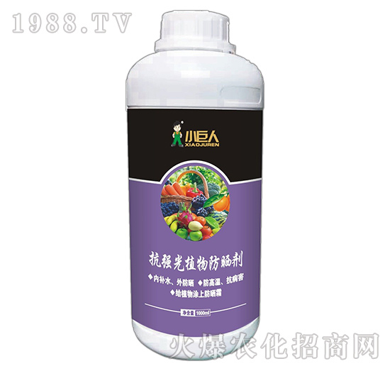 河南小巨人怎么樣？公司有什么優(yōu)勢？主推產(chǎn)品有哪些？