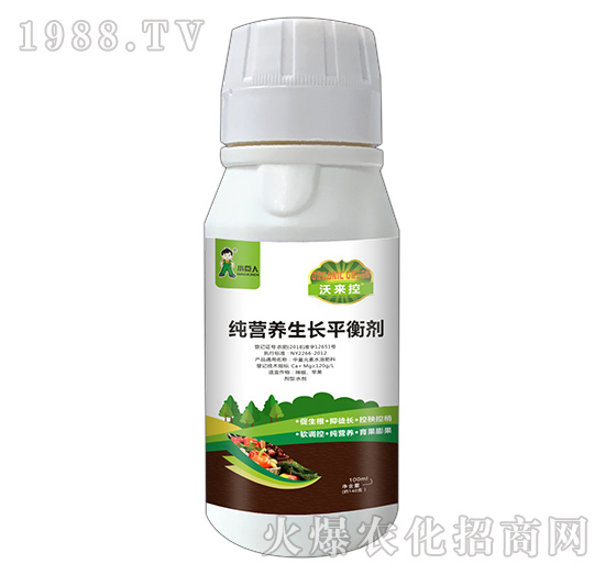 河南小巨人怎么樣？公司有什么優(yōu)勢？主推產(chǎn)品有哪些？