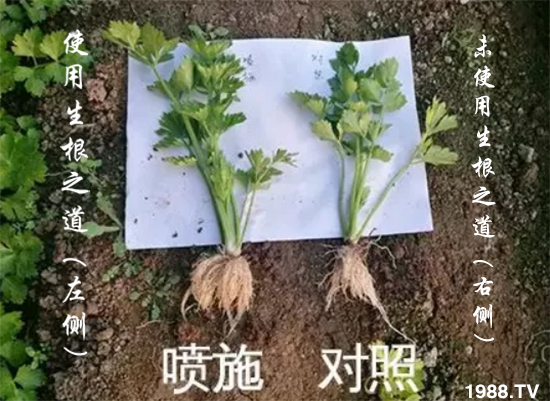 �����ϵ�����a������������֮���������¸����������a�o�n��