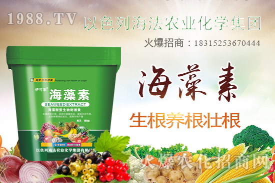 海法農(nóng)業(yè)為啥這么牛？海法農(nóng)業(yè)生產(chǎn)特色是什么？主打哪些產(chǎn)品？