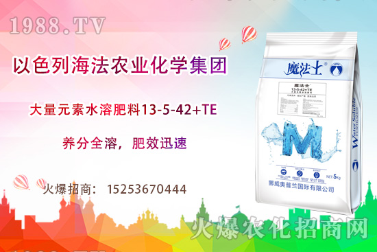 海法農(nóng)業(yè)為啥這么牛？海法農(nóng)業(yè)生產(chǎn)特色是什么？主打哪些產(chǎn)品？