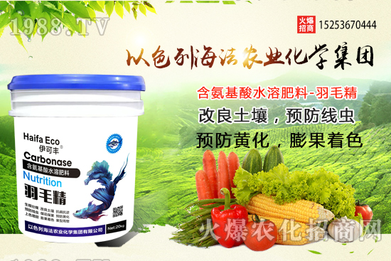 海法農(nóng)業(yè)為啥這么牛？海法農(nóng)業(yè)生產(chǎn)特色是什么？主打哪些產(chǎn)品？