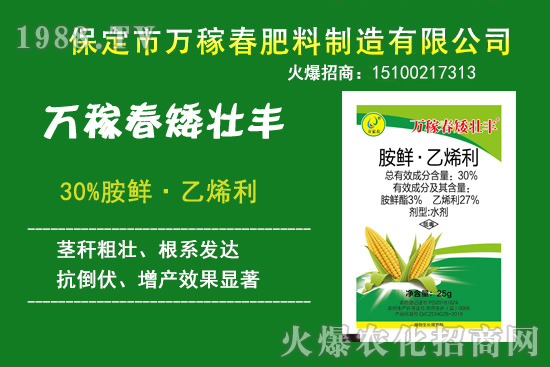 玉米倒伏產(chǎn)量低，玉米縮節(jié)、抗倒增產(chǎn)產(chǎn)品有哪些？