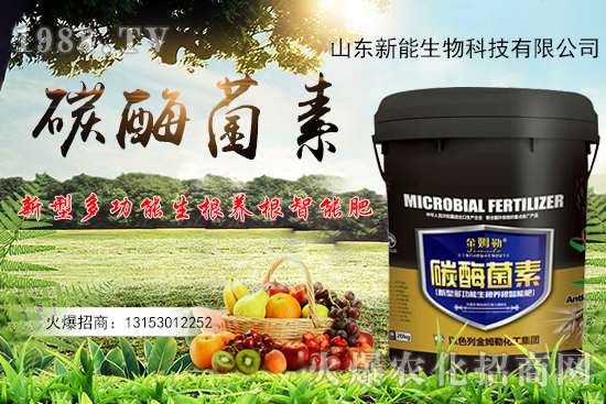 һ�ʶ��ã��ЙC(j��)̼+����ø+�����+�I(y��ng)�B(y��ng)Ԫ����̼ø������ʲô������
