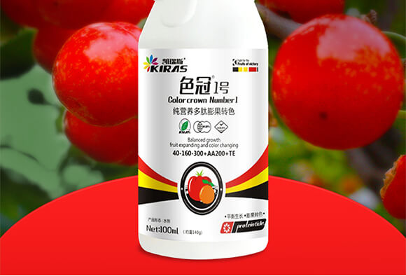 ���I�B(y��ng)��������D(zhu��n)ɫ-ɫ��1̖(h��o)-�P��˹_02