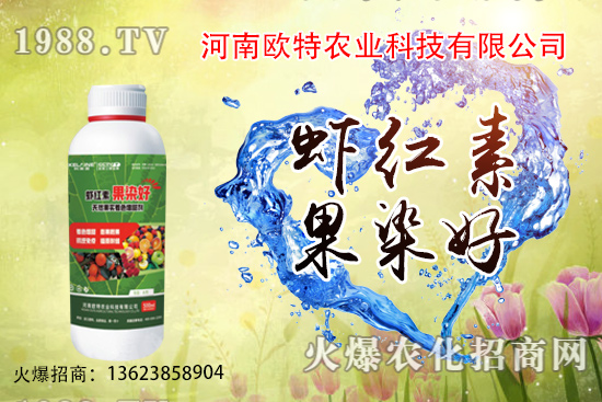  草莓苗品種如何選擇，怎么提高草莓苗種植成活率？