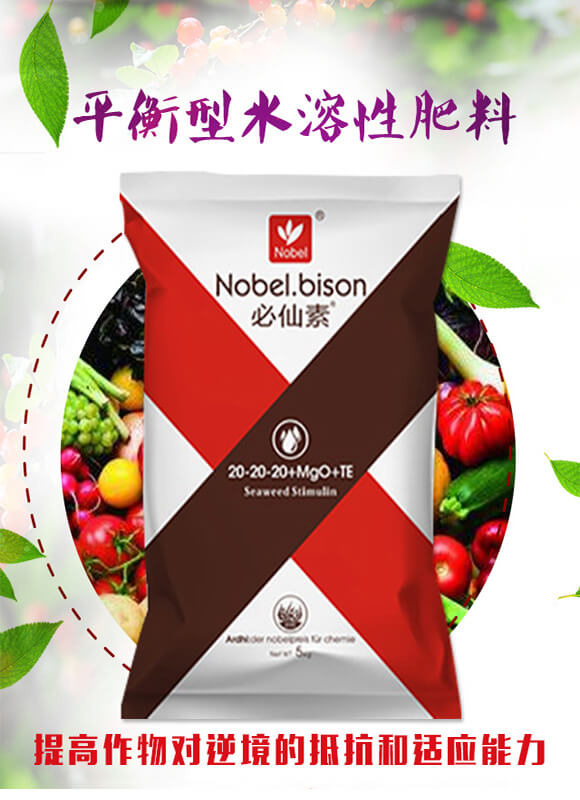 ƽ����ˮ���Է���20-20-20+Mgo+TE��5Kg��-�Zؐ��_01