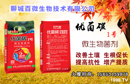 硼元素有什么作用？果樹缺硼有什么后果？什么時(shí)候補(bǔ)硼？