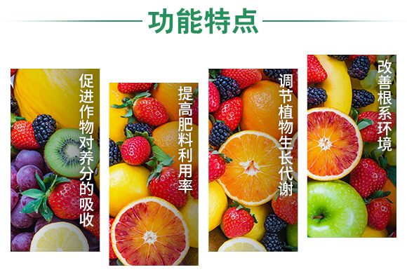 �VԴ�S�����-��ʩؐ��-��ʩ��_05