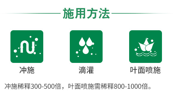 �VԴ�S�����-��ʩؐ��-��ʩ��_09