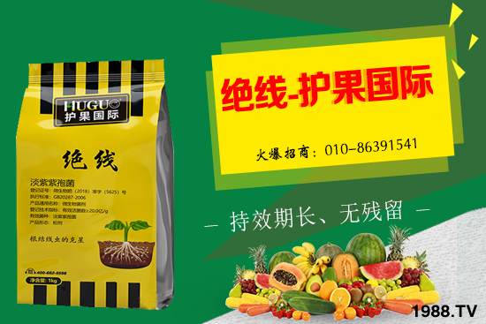 杏樹生長(zhǎng)條件有哪些,杏樹栽培管理技術(shù)!