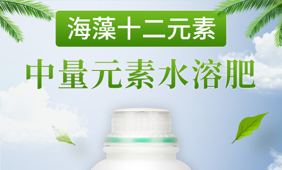 ����ʮ��Ԫ��-�����-Ӣ����_01