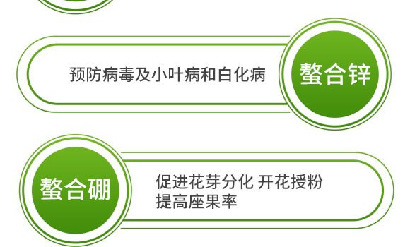 ����ʮ��Ԫ��-�����-Ӣ����_09