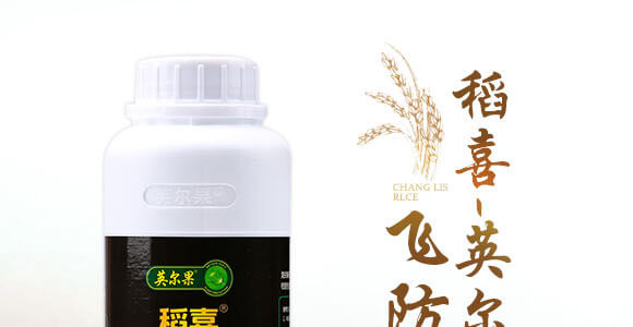 �w����(zhu��n)��-��ϲ-Ӣ����_01