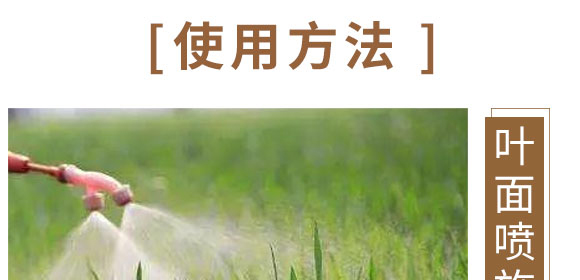 �}�V�\���F-Ӣ����_09