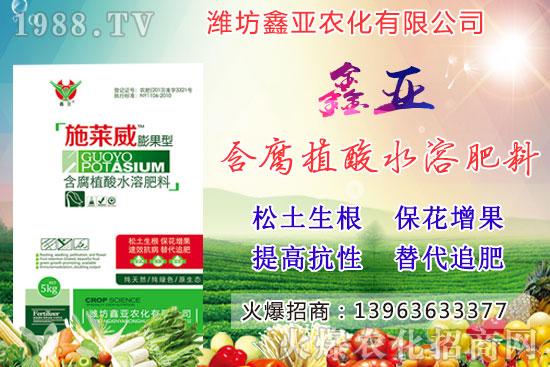 糧食漲價！20209月17日小麥價格行情如何？