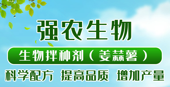 �����N������������-���r(n��ng)����_01